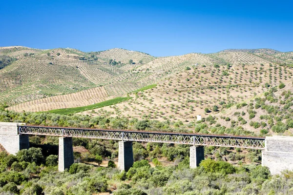 Viaduto ferroviário — Fotografia de Stock