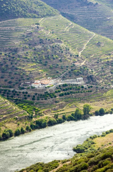 Valle del Douro — Foto Stock