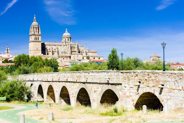 Salamanca. — Fotografia de Stock