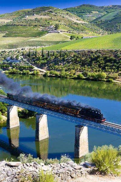 Steam train — Stock Photo, Image