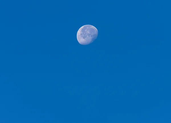 月 — ストック写真