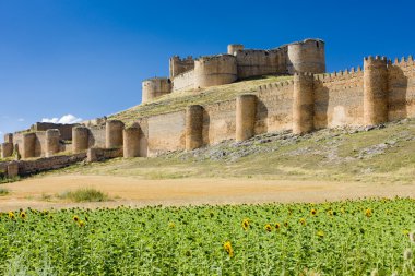 Berlanga de duero Kalesi