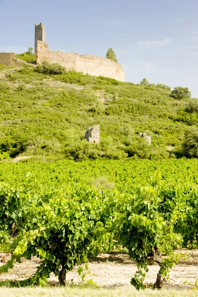 Chateau-le-Castellas — Stock fotografie