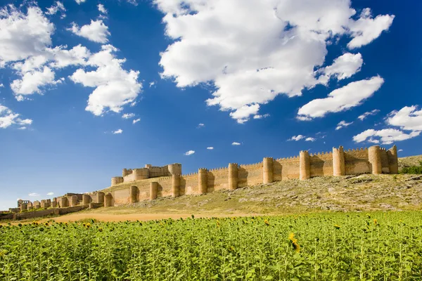 Castelo de Berlanga de Duero — Fotografia de Stock