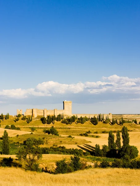 stock image Penaranda de Duero Castle