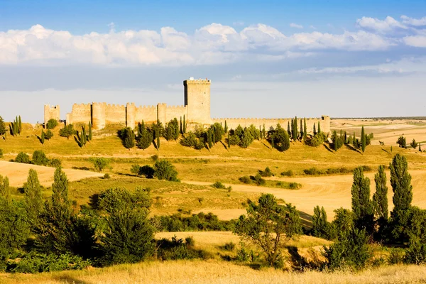 Castillo de Penaranda de Duero — Foto de Stock