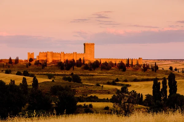 Castello di Penaranda de Duero — Foto Stock