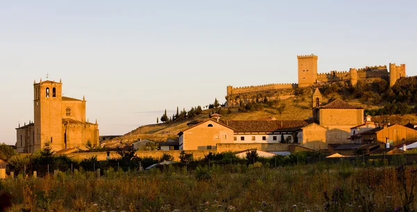Château de Penaranda de Duero — Photo