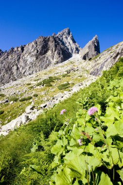 yüksek tatras