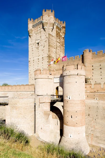 Castelo de La Mota — Fotografia de Stock
