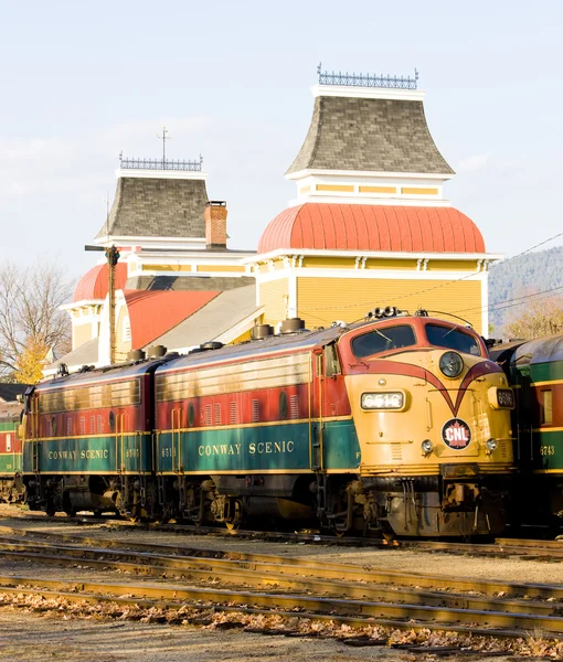 Railroad Museum — Stockfoto