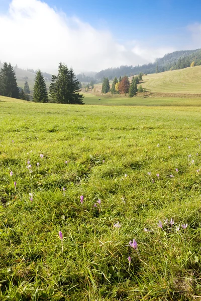 Tatras baixos — Fotografia de Stock