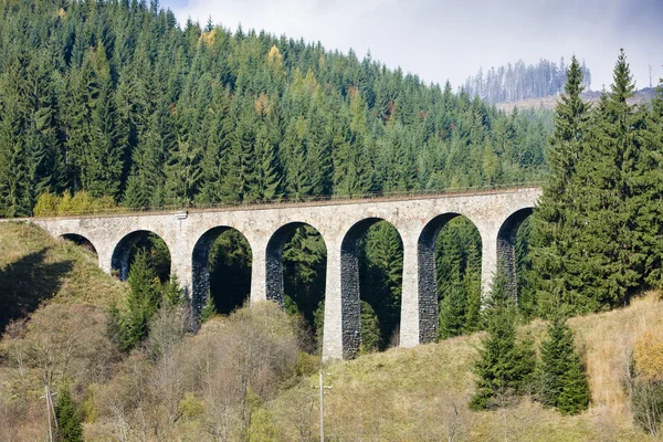 stock image Railway viaduct