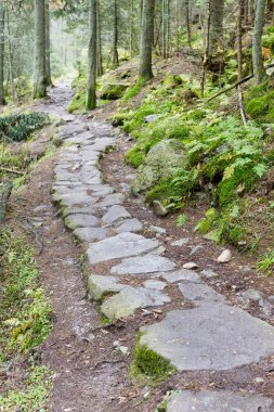 yüksek tatras