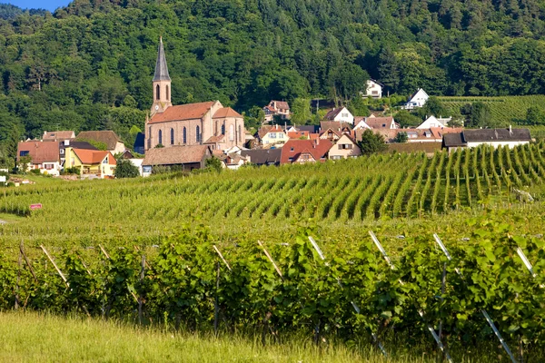 Alsace — Stock Photo, Image