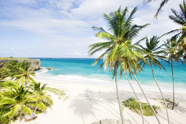 stock image Barbados