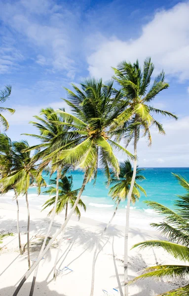 Barbados — Zdjęcie stockowe