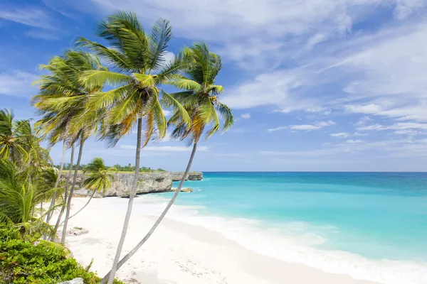 Barbados — Stockfoto
