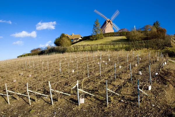 stock image Champagne Region