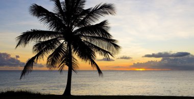 Sunset over Caribbean Sea clipart