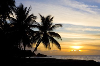 Sunset over Caribbean Sea clipart