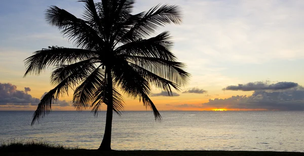 Günbatımı yere denizinde — Stok fotoğraf