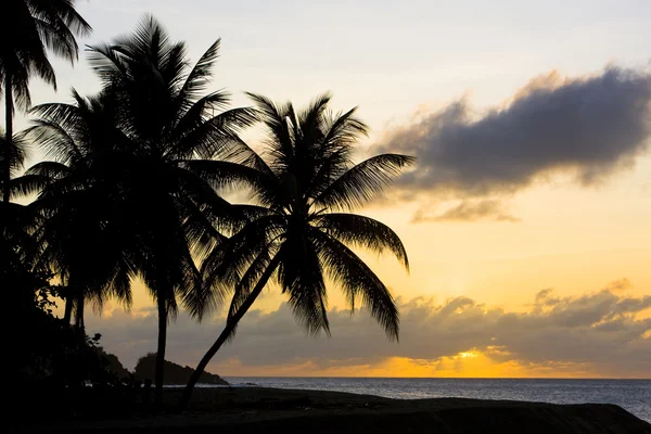 Günbatımı yere denizinde — Stok fotoğraf