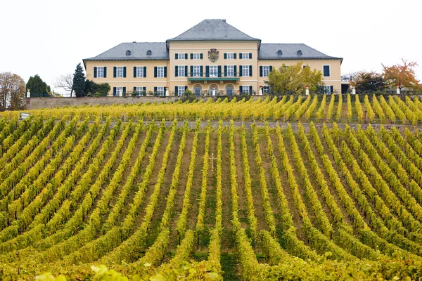 stock image Johannisberg Castle