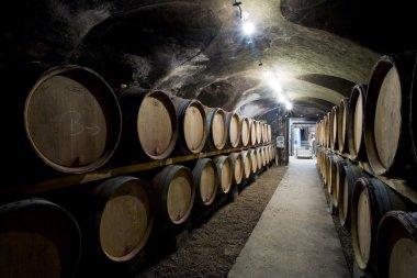 Wine cellar in Burgundy clipart