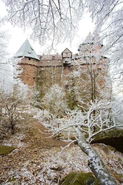 奥 koenigsbourg 城堡 — 图库照片