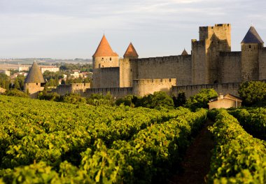 Carcassonne clipart