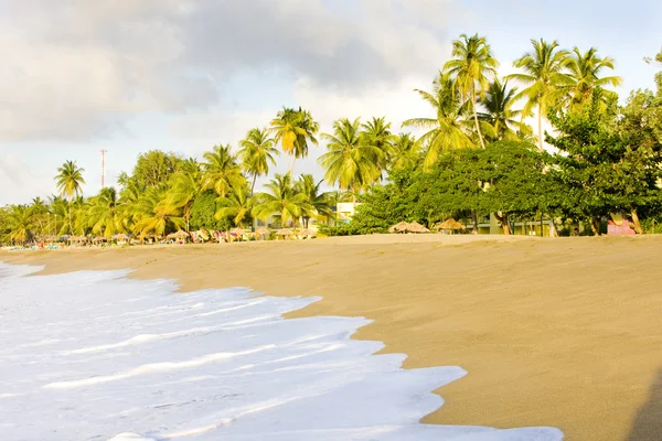 stock image Tobago