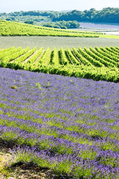Provence — Stock Photo, Image