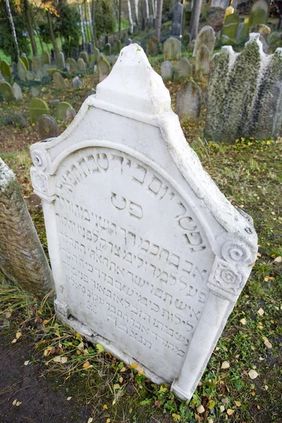 Jewish Cemetery — Stock Photo, Image