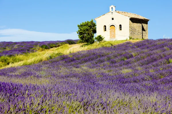 Provence — Stock fotografie