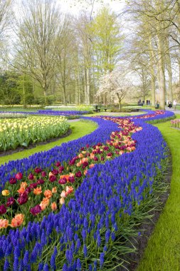 Keukenhof bahçeleri