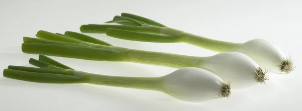 Taze soğan — Stok fotoğraf