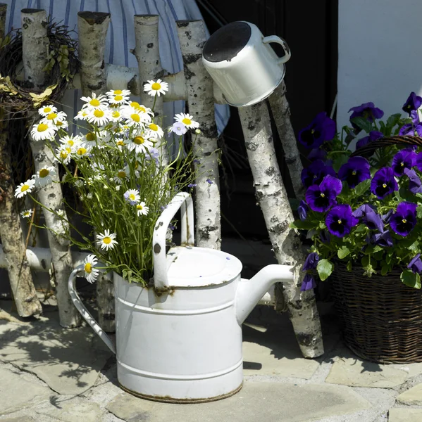 stock image Watering can