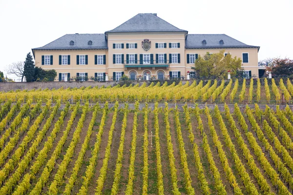 stock image Johannisberg Castle