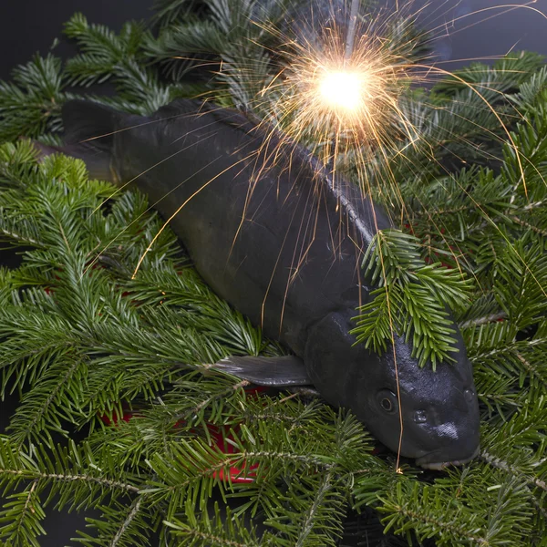 Christmas carp — Stock Photo, Image