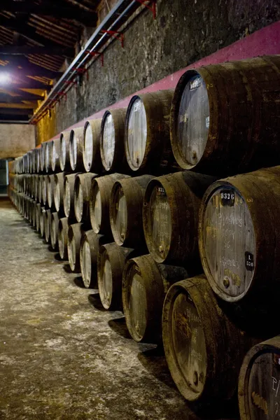 Porto winery — Stock Photo, Image