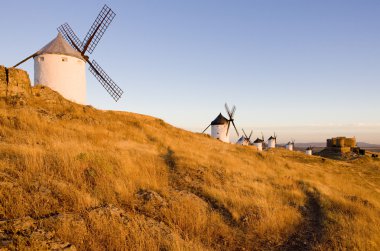 Consuegra