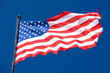 The USA flag clipart