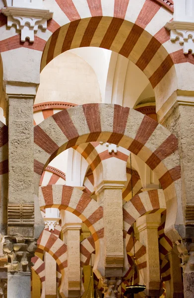 Mosquée-cathédrale — Photo