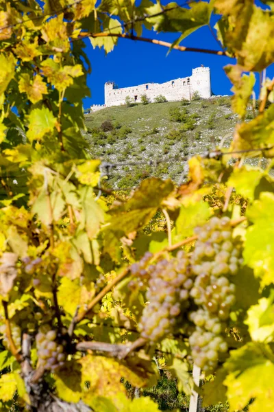 stock image Ruins of Devicky castle