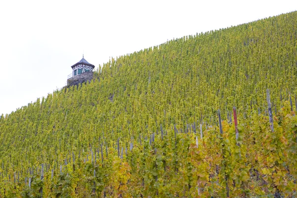 stock image Vineyard Doctor, Bernkastel, Rheinland Pfalz, Germany