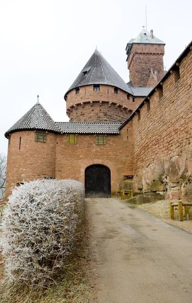 Замок Haut-Koenigsbourg — стокове фото