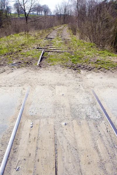 Overgrown tracks — Stock Photo, Image