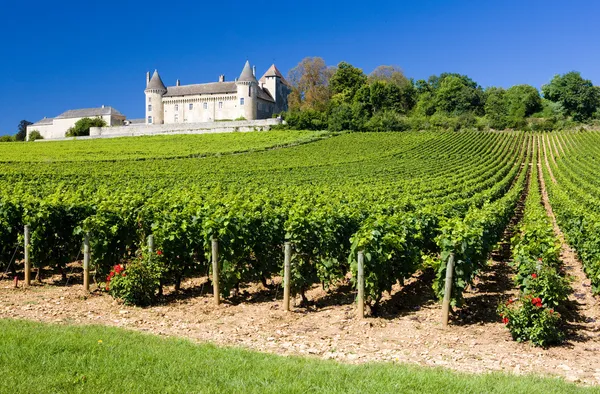 Chateau de Rully Stock Picture