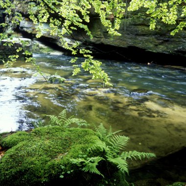 Kamenice river clipart